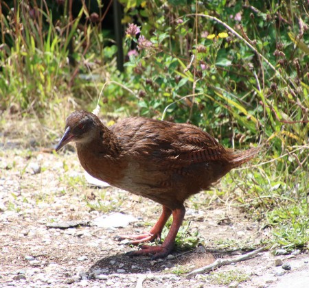 如何用批量控制训练神经网络的稳定性